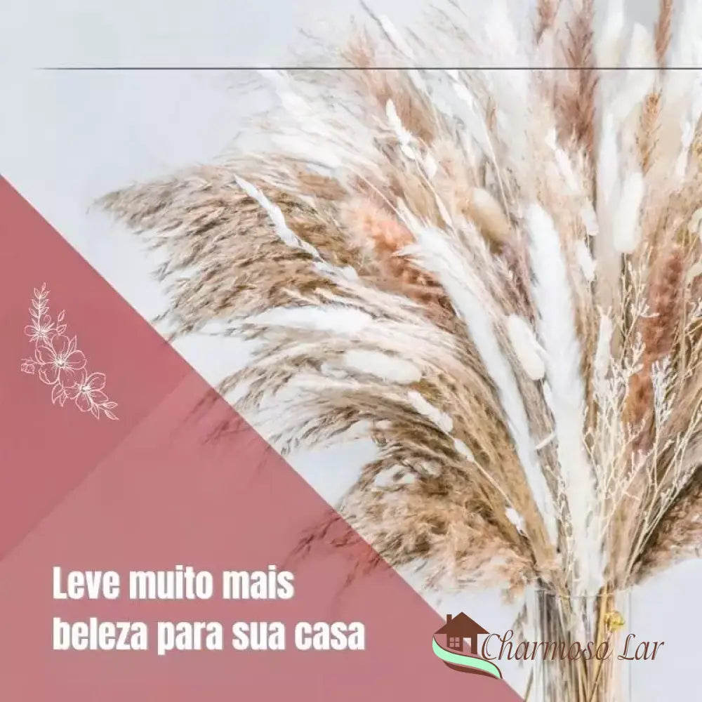 Capim Dos Pampas Decorativo: Buquê Encantador Charmosolar