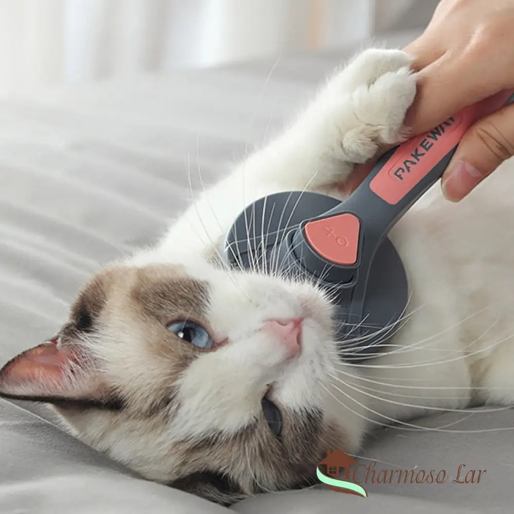 Escova Removedora De Pelos Para Cachorro E Gato Charmosolar